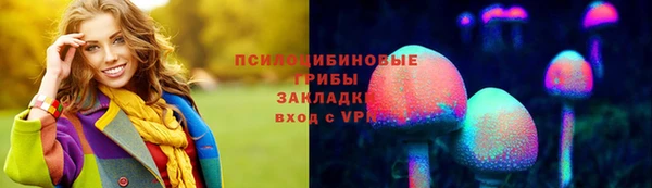 шишки Алексин