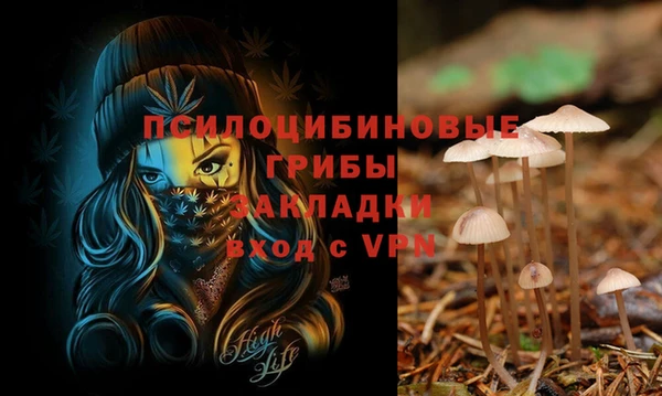 шишки Алексин
