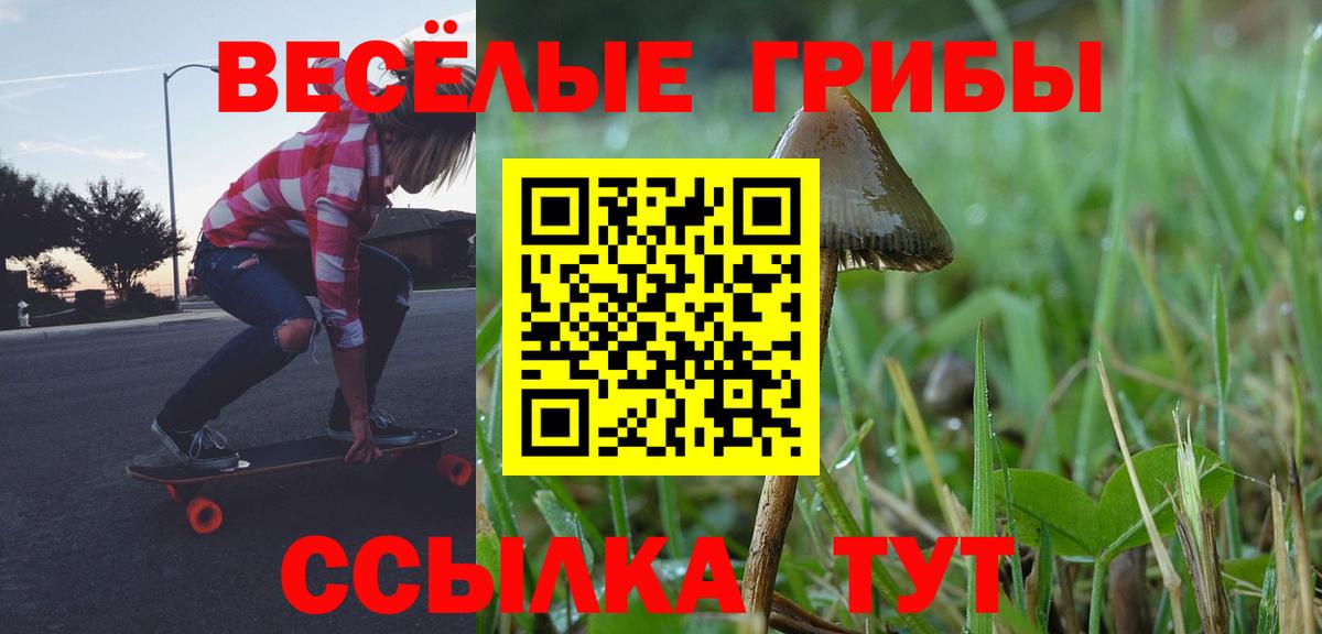 Псилоцибиновые грибы Magic Shrooms  Вход с VPN  Геленджик 